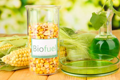 Raginnis biofuel availability