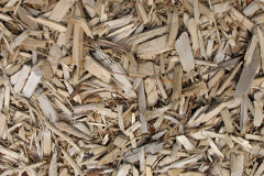 biomass boilers Raginnis